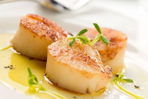 Cyril Lignac : son astuce pour des noix de Saint-Jacques rôties originales Cilantro Butter, Geoffrey Zakarian, Seared Scallops, Honey Sauce, Coquille Saint Jacques, Scallop Recipes, Summer Dishes, Scallops Seared, Saint Jacques