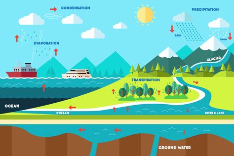 Water Cycle Chart, Water Cycle Foldable, Water Cycle Game, Water Cycle Anchor Chart, Water Cycle Song, Water Cycle Craft, Water Cycle Lessons, Water Cycle Model, Water Cycle For Kids