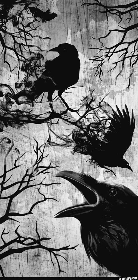 Black Crow Wallpaper, Black And White Witchy Wallpaper, Raven Phone Wallpaper, Raven Wallpaper Dark, Witchy Screensaver, Dark Gothic Aesthetic Wallpaper, Gothic Phone Wallpaper, Crow Wallpapers, Gothic Lockscreen