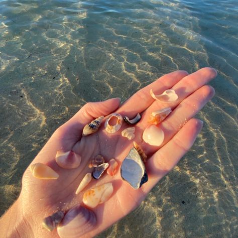 Like Us Series, Mermaid Aesthetic, Artist Aesthetic, Shell Beach, Foto Ideas Instagram, Summer Feeling, Summer Dream, European Summer, Beach Aesthetic