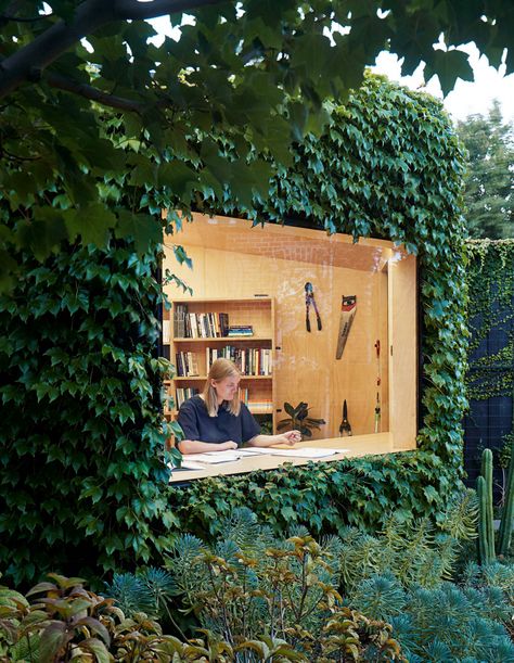 Sydney Gardens, Backyard Shed, Australian Architecture, She Sheds, Shed Design, Building A Shed, Native Garden, Garden Studio, City Garden