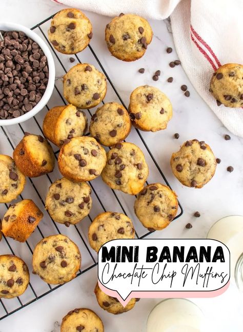 Mini Banana Chocolate Chip Muffins Banana Muffins Mini, Banana Nut Chocolate Chip Muffins, Mini Banana Chocolate Chip Muffins, Banana Chocolate Chip Mini Muffins, Chocolate Chip Mini Muffins, Banana Choc Chip Muffins, Mini Banana Muffins, Egg Free Breakfast, Mini Bananas