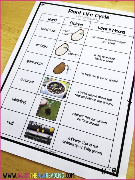 Five Tips for Building ELLs’ Academic Vocabulary: A teaching blog post on how to build your English Language Learner's academic, or content area, vocabulary in your classroom. These tips work for ELLs of all levels, from beginning to advanced English acquisition. Teaching ESL, ELL Resources for Science, Social Studies and more. Raise The Bar Reading, English Language Learners Activities, Ell Resources, Interpersonal Communication Skills, Educational Websites For Kids, Eld Ideas, Teaching Esl, Esl Teaching Resources, Academic Vocabulary