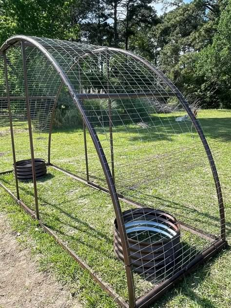 Old Trampoline Frame Ideas Garden, Trampoline Greenhouse, Trampoline Turned Into Chicken Coop, Greenhouse From Trampoline Frame, Greenhouse Out Of Old Trampoline, Recycled Trampoline, In Ground Trampoline With Net, Old Trampoline, Cattle Panels