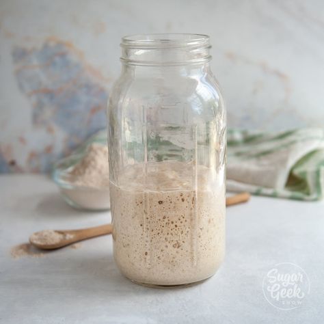 How To Make Sourdough Starter For Beginners – Sugar Geek Show Crockpot Peach Butter Recipe, Wheat Sandwich Bread Recipe, Pollo Mechado, Spelt Sourdough, Homemade Blackberry Jam, Gluten Free Sourdough Starter, Blackberry Jam Recipes, Sugar Geek, Freezer Jam Recipes