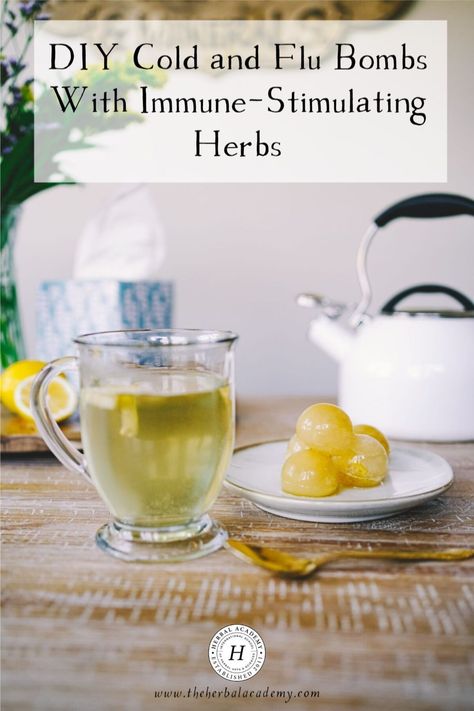 DIY Cold and Flu Bombs With Immune-Stimulating Herbs | Herbal Academy | One option for preparing ahead for cold and flu season is by making a simple recipe like these DIY cold and flu bombs! Herbal Academy, Turmeric Smoothie, Home Remedies For Skin, Breastfeeding Foods, Healing Remedies, Medicinal Herb, Apothecary Cabinet, Natural Healing Remedies, Herbal Tea Blends