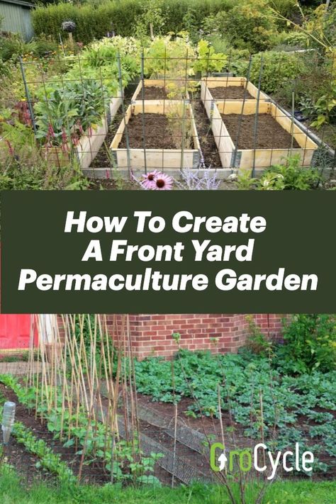 How to Create a Front Yard Permaculture Garden Permaculture Front Yard, Front Yard Permaculture, Mowing The Lawn, Permaculture Garden, Brighton Houses, Front Gardens, Front Yard Garden Design, Permaculture Gardening, Imagine If