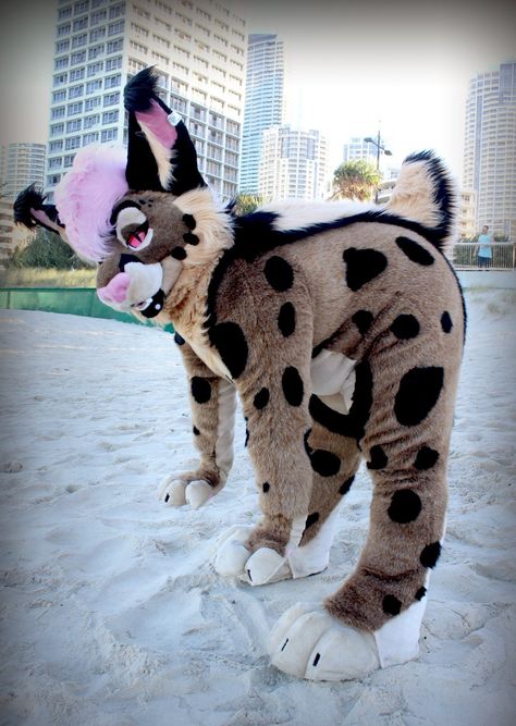 Lynx Fursuit, Aesthetic Fursuits, Rachel Aesthetic, Cat Fursuit, Fursuit Making, Mix Baby Girl, Cosy Outfit, Mixed Babies, Lynx