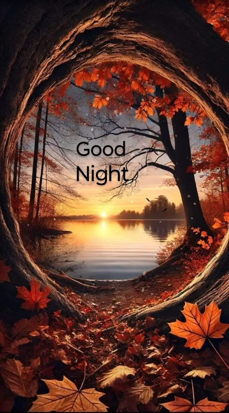 Good Night Fall Images And Quotes, Good Night Fall Images, Autumn Good Night, Good Night Fall, Goid Night, Goodnight Blessings, Good Night Meme, Funny Good Night Images, Beautiful Good Night Messages