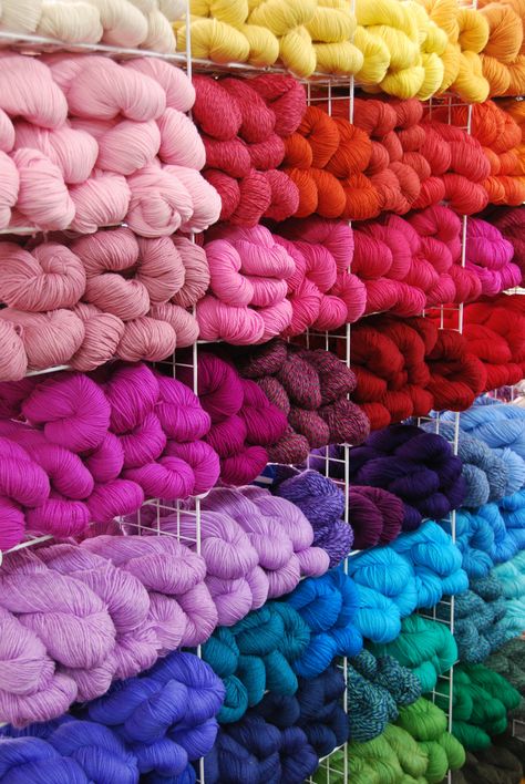 cascade 220 | Flickr - Photo Sharing! Colorful House, Plant House, Hanging Craft, Crochet Geek, Colorful Home, Rainbow Bright, Taste The Rainbow, Live Colorfully, House Plant