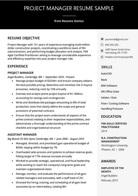 Project Manager Resume Sample & Writing Guide | RG Business Development Manager Resume, Project Management Resume Examples, Project Management Resume, Project Manager Resume Examples, Project Manager Skills, Construction Project Manager, Free Resume Examples, Project Manager Resume, Job Interview Advice