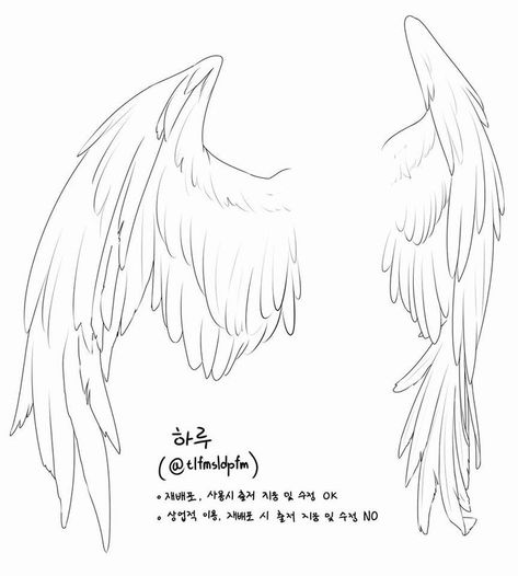 Wings Angel Drawing, Wings Drawing Angel, Winged Character Poses, Person With Wings Drawing Reference, Wing Poses, Wing Sketch, Angel Reference, Wing Reference, Wings Reference