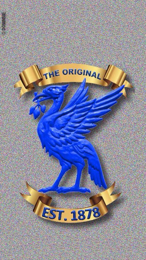 Everton Fc Wallpaper, Everton Badge, Suzi Perry, Liver Bird, Everton Football Club, Bristol Rovers, Football History, Everton Fc, Dancers Outfit