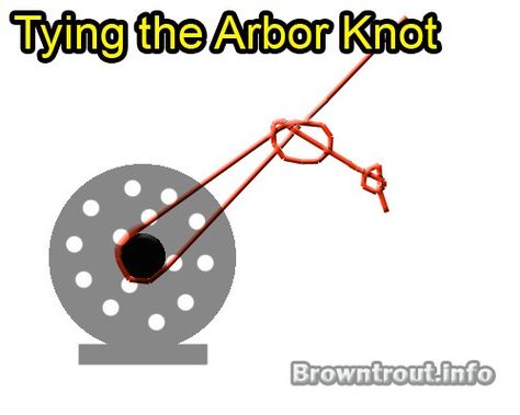 How to Tie the Arbor Knot, This connects your backing to a fly reel. Fly Fishing Knots, Fishing 101, Fly Fishing Tips, Fishing Stuff, Fishing Knots, Fly Reels, Man Stuff, Fly Rods, Trout Fishing