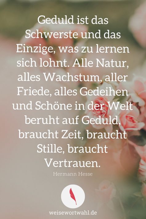 Geduld ist das Schwerste und das Einzige, was zu lernen sich lohnt. Alle Natur, alles Wachstum, aller Friede, alles Gedeihen und Schöne in der Welt beruht auf Geduld, braucht Zeit, braucht Stille, braucht Vertrauen. - Hermann Hesse - Zitate, Weisheiten und Spüche - Ruhe, Leben, Geduld & Vertrauen Lone Wolf Quotes, Diet Quotes, Business Inspiration Quotes, Hermann Hesse, Poem Quotes, Business Inspiration, True Words, The Words, Words Quotes