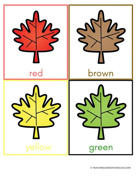 Leaf Sorting printable.pdf - Google Drive Leaves Activity, Sensory Activity, Activity Ideas, Sensory Activities, Google Drive, Drive