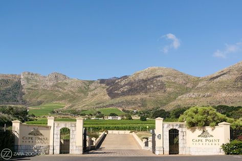 Cape Point Vineyards Venue Cape Point Vineyards, Cape Town Wedding Venues, Cape Point, Cape Town Wedding, Beach Wedding Photography, Beach Ceremony, Cape Town, Olympia, Wedding Inspo