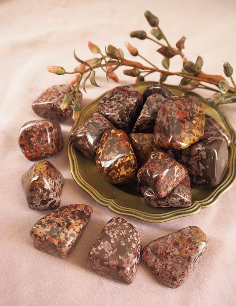 Jasper Crystal Aesthetic, Leopard Skin Jasper Crystal Meaning, Red Jasper Crystal Aesthetic, Brown Jasper, Leopard Jasper, Leopardskin Jasper, Tumbled Stones, Grape Leaves, Tumbling