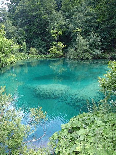 pinterest natural swimming holes in west virginia | Plitvice Falls - Turquoise ponds, Croatia by lgizdavcic on Flickr. Piscina Laguna, Taman Air, Natural Swimming Ponds, Swimming Pool Landscaping, Swimming Pond, Piscina Natural, Natural Swimming Pools, Belle Nature, Natural Swimming Pool