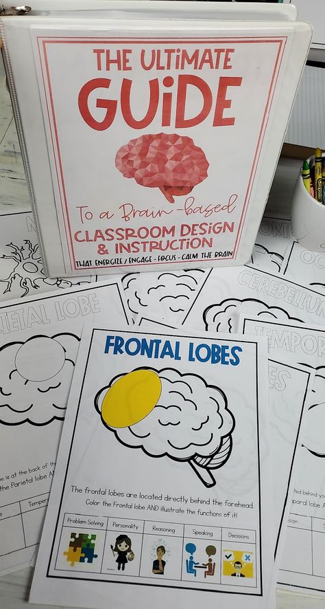 The Brain For Kids, Left Brain Right Brain, Teacher Projects, Brain Based Learning, Brain Learning, Professional Development For Teachers, Teaching 5th Grade, Teaching Poetry, Whole Brain Teaching