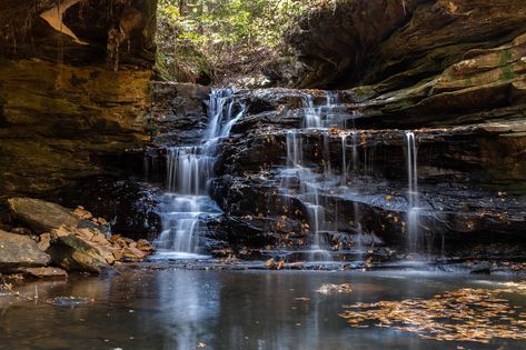 Bankhead National Forest - Double Springs - Alabama.Travel Group Picnic, Picnic Shelter, Alabama Vacation, Tongass National Forest, Alabama Travel, White Cliffs, Natural Bridge, Nature Conservation, Nature Preserve