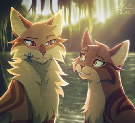 Три кота, трик кота,... ой... Два дока , два кота! И один цветочег МИАУ! Warrior Cats Comics, Warrior Cats Series, Warrior Cats Books, Warrior Cats Fan Art, Flipagram Instagram, Love Warriors, Warrior Cat Drawings, Warrior Cat Oc, Warriors Cats