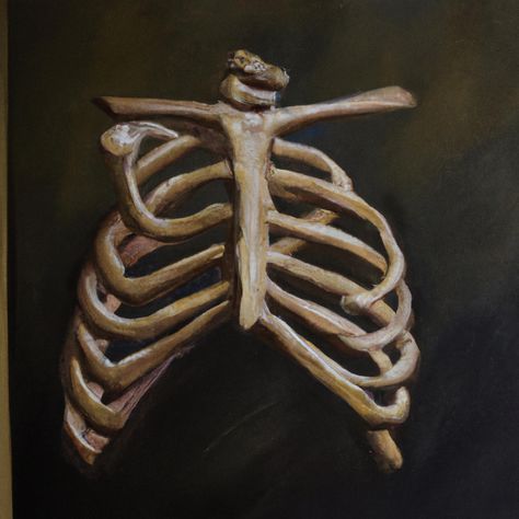 Rib Cage Painting, Ribs Painting, Ribcage Drawing, Ribcage Art, Ribs Lorde, Board Art, Realistic Paintings, Art Academy, Ap Art