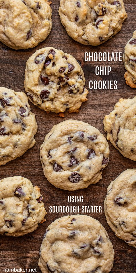 Sourdough Chocolate Chip Cookies, Dough Starter Recipe, Sourdough Starter Discard, Recipe Using Sourdough Starter, Discard Recipe, Sourdough Starter Discard Recipe, Discard Recipes, Homestead Life, Homemade Sourdough Bread