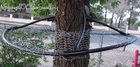 Hey all, I was thinking of making a Squirrel Baffle this year for a plum tree just so the squirrels/chipmunks dont knock off any fruit. I saw some pics of Squirrel Baffle online, but they are all for small set sizes of poles that hold up bird feeders; and not made to wrap around a larger diameter tree. LIke these: [image]   I saw one DIY one, but it didn't look pretty: [image] I can see a squirrel still climbing around that one.   Just curious if anyone has any ideas how to make a si... Squirrel Baffle Diy, Squirrel Baffle, Digging Holes, Duck House, Almond Tree, Tree Removal, Diy Tree, Plum Tree, Yard Project