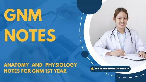 Anatomy And Physiology Notes PDF For GNM 1st Year- 2024 Gnm Nursing Notes, Gnm Nursing Notes 1st Year, Circulatory System Function, Respiratory System Function, Anatomy And Physiology Notes, Gnm Nursing, Physiology Notes, Nursing Management, Community Health Nursing