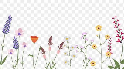 Wild Flower Border, Spring Flower Border, Wildflower Border, Border Transparent, Flower Border Png, Wildflower Drawing, Watercolor Border, Flowers Wild, Wild Flower Meadow