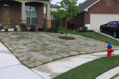 Lawn Leveling with Sand: My Experience with Pictures! Leveling Yard, Level Yard, Lawn Leveling, Bermuda Grass, Number 15, Garden Lawn, Yard Ideas, Lawn Care, Stepping Stones