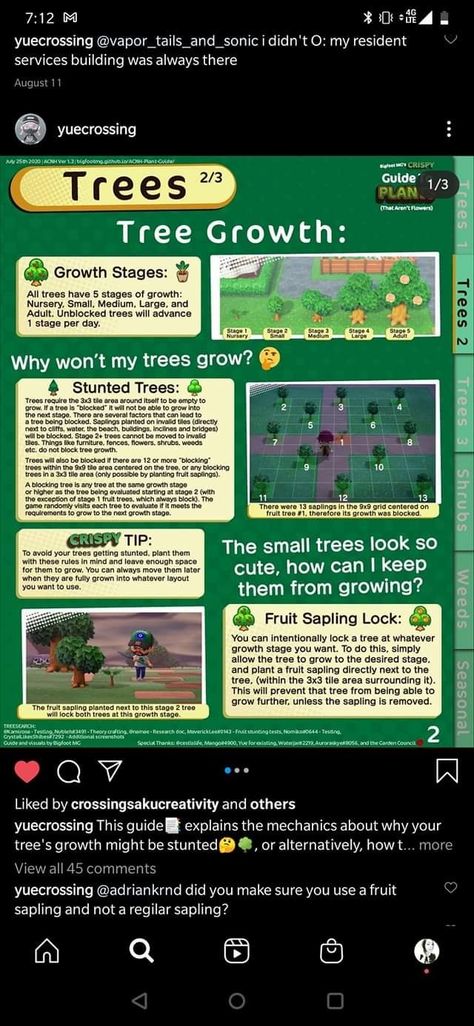 Acnh Tree Growth Stages, Animal Crossing Money Tree, Acnh Money Tree Ideas, Acnh Entrance, Acnh Tips, Tree Meanings, How To Make Trees, Cozy Gaming, Tree Growth