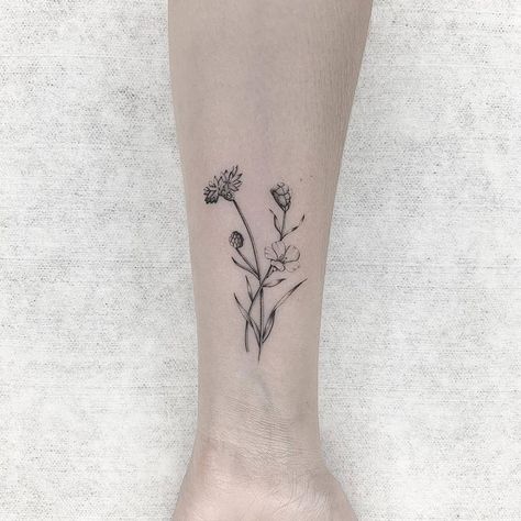 Flax Flower Tattoo, Flax Tattoo, Flannel Flower Tattoo, Cornflower Tattoo Black, Cornflower Tattoo, Button Tattoo, Flower Tattoo Drawings, Flannel Flower, Floral Tattoos