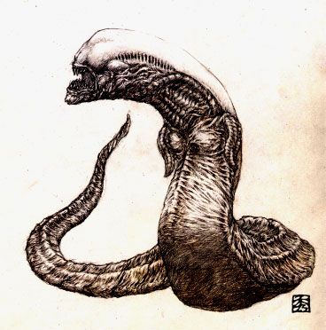 Chest Burster, Xenomorph Costume, Giger Alien, Alien Isolation, Alien Tattoo, Dark Hunter, Arte Alien, Like Drawing, Aliens Movie