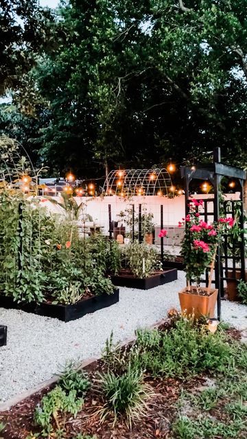 Liz Rishel | DIY Home & Garden on Instagram: "Have you ever thought about adding lights in your garden? (ad) The ambiance it creates makes you feel like you’ve stepped into a secret garden full of magical views at every turn as you walk through the paths. Not to mention having another area to enjoy in the evenings and at night. I hung string lights with a warm amber glow that I found from @riverbendhome using 4 x 4 wooden posts and metal posts along the fence. The lights are just the right heig Vegetable Garden Lighting, Whimsical Vegetable Garden, Fence String Lights, Design Garden Ideas, Diy Home Garden, Fairy Lights Garden, Yard Inspiration, Raised Vegetable Gardens, Garden String Lights