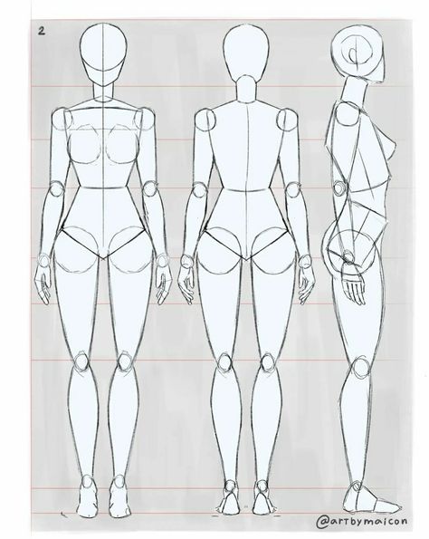 Girl Anatomy, Body Type Drawing, Female Anatomy Reference, Human Body Drawing, Drawing Female Body, Female Drawing, Siluete Umane, Human Anatomy Drawing, Body Drawing Tutorial