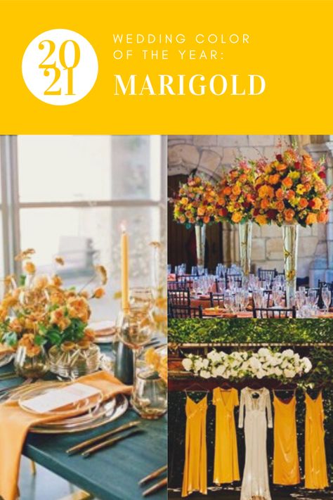 Marigold Wedding Colors, Marigold Yellow Wedding, Wedding Marigold, Marigold Wedding Decoration, Marigold Wedding, Mustard Wedding, 2023 Ideas, March Wedding, Clear Spring