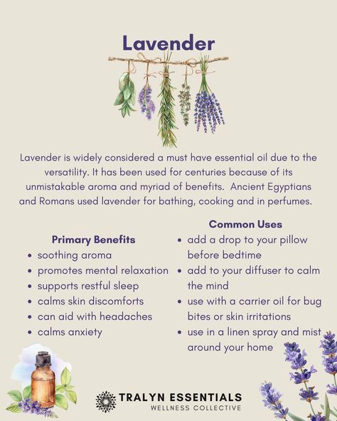 Lavender Essential Oil 💜 This is one of my favorites, so many benefits & uses! #lavenderessentialoil #lavender #essentialoils #essentialoilsrock #calming #mindbodysoul #healthandwellness #healthjourney #oilylife #oilymama #naturalsolutions #holistichealth #tralynessentials #tralynessentialswellness Lavender Essential Oil Uses, Earth Medicine, Oil Uses, Linen Spray, Essential Oil Uses, Mind Body Soul, Carrier Oils, Natural Wellness, Lavender Essential Oil