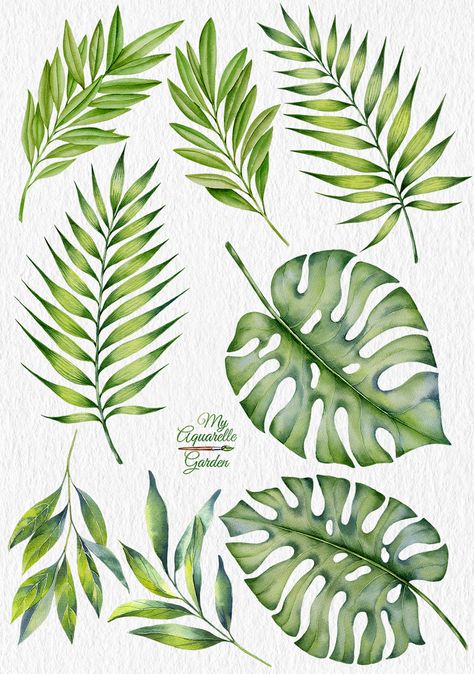 Tropical leaves. Exotic plants. Botanical illustration. Plants Botanical Illustration, Watercolour Plants, Tropical Leaves Illustration, Cactus Doodle, Plants Watercolor, Leaves Watercolor, Leaves Illustration, Plant Tattoo, Watercolor Plants