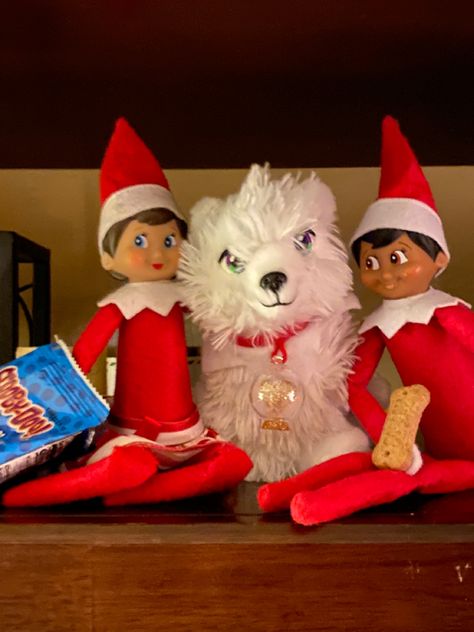 Elf And Fox Ideas, Elf On The Shelf And Artic Fox Ideas, Elf On The Shelf Arctic Fox Ideas, Scooby Snacks, Xmas Elf, Pet Fox, Arctic Fox, Diy Shelves, Shelf Ideas