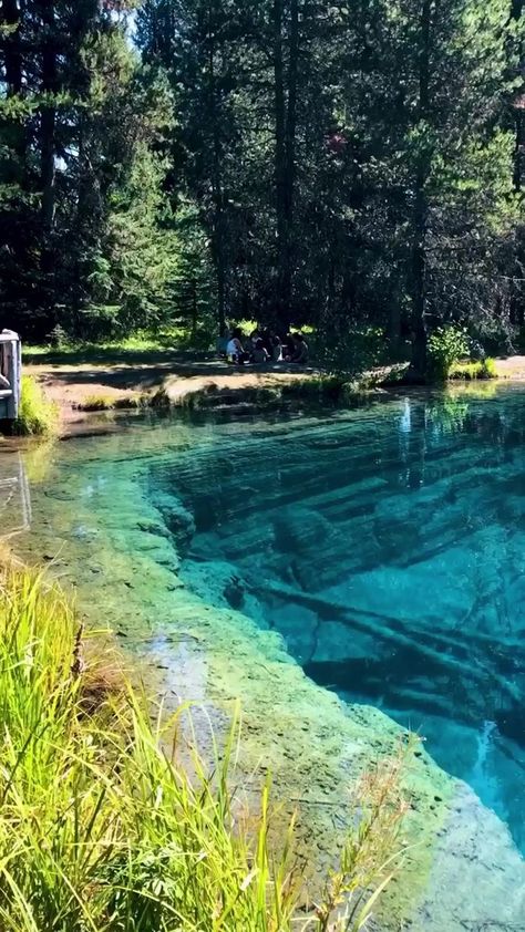 Clear Lake Oregon, Water Places, Mount Hood National Forest, Crater Lake Oregon, Oregon Beach, Black Hold, Beach Honeymoon Destinations, Stages Of Sleep, Nature Vibes