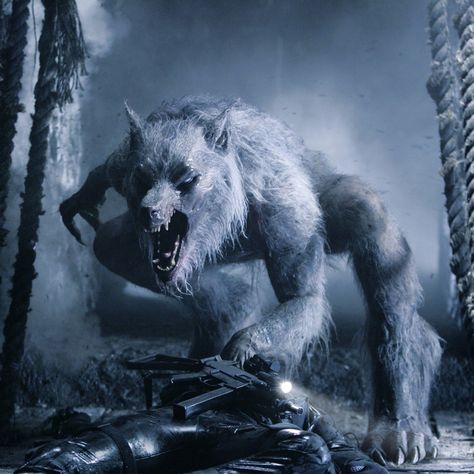 Res: 2048x2048, Werewolf Underworld - Tap to see more awesome Underworld wallpapers! |  @mobile9 Underworld Lycans, Underworld Werewolf, Werewolf Mythology, Real Werewolf, Underworld Movies, Werewolf Aesthetic, Harley Davidson Artwork, Werewolf Art, Vampires And Werewolves