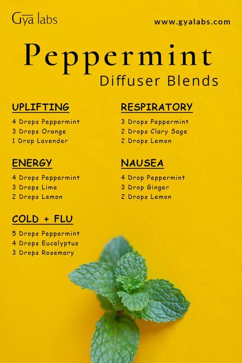 Image of peppermint essential oil and herbs with a caption "Refreshing Peppermint Essential Oil Blends" Peppermint Essential Oil Blends, Benefits Of Peppermint Essential Oil, Mint Essential Oil, Essential Oil Combinations, Perfume Recipes, Essential Oil Diffuser Blends Recipes, Essential Oils Health, Hair Diy, Oil Diffuser Recipes