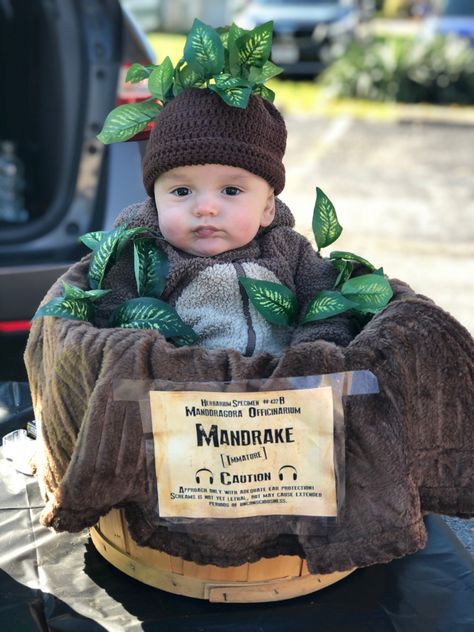 Harry Potter Stroller Costume, Mandrake Baby Costume, Mandrake Costume, Nature Halloween Costumes, Infant Costume Ideas, Harry Potter Halloween Costumes, Diy Baby Costumes, Newborn Costume, Family Themed Halloween Costumes