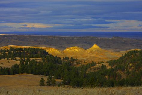 American Prairie, American Plains, Washington Irving, Farm Ranch, Country Farm, Book Ideas, The Land, Montana, Building