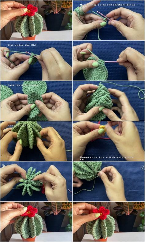 Crochet Cactus Patterns Crochet Fence Post Cactus Free Pattern, Crochet Cactus Hat Pattern, Crochet Cactus Flower, Crochet Succulent Pattern Free, Cactus Amigurumi Free Pattern, Crochet Potted Plants Free Pattern, Crochet Plants Patterns, Crochet Plants Free Pattern, Diy Crochet Cactus