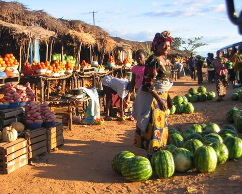 Zambia Africa, Handmade Tools, African Market, Africa Do Sul, Livingstone, Victoria Falls, Out Of Africa, Travel Info, African Countries