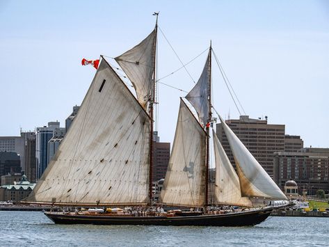 Bluenose Ship, Bluenose Schooner, Fast Boats, Waterfalls Backyard, Sail Boats, Deep Sea Fishing, Cargo Shipping, Watercraft, Boat Design