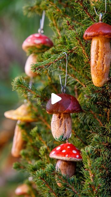 Franziska Shelton // Arts & Crafts on Instagram: "I am kicking off the holiday season with some easy DIY mushroom ornaments you can make for your 🌲 ! The ornaments are made from salt dough and are so cute and realistic looking! 🍄  Salt dough recipe: 1. Combine 1 cup of all purpose flour with 1/2 cup of sea salt and 1/2 cup of warm (?) water. 2. Preheat your oven to 250 degrees Fahrenheit. Mushroom Ornaments: 1. Use the salt dough to shape mushroom stalks and mushroom caps. 2. Bake your mushroom pieces at 200 degrees Fahrenheit for 2-3 hours. Once hardened, let them cool for 30 minutes. 3. Use hot glue to fit your mushroom stalks inside your caps. 4. Paint your mushrooms using Acrylic paints or watercolors. Let the paint dry for a minimum of 30 minutes. 5. Optional: add a layer of glossy Salt Dough Mushrooms Diy, Salt Dough Mushrooms, Diy Mushroom Ornaments, Mushroom Ornaments Diy, Craft Mushrooms, Diy Mushroom, Mushroom Ornaments, Salt Dough Recipe, Mushroom Caps